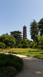 Torn i Kew Garden