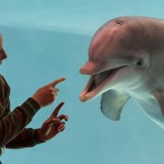 Tränare pratar med Delfin